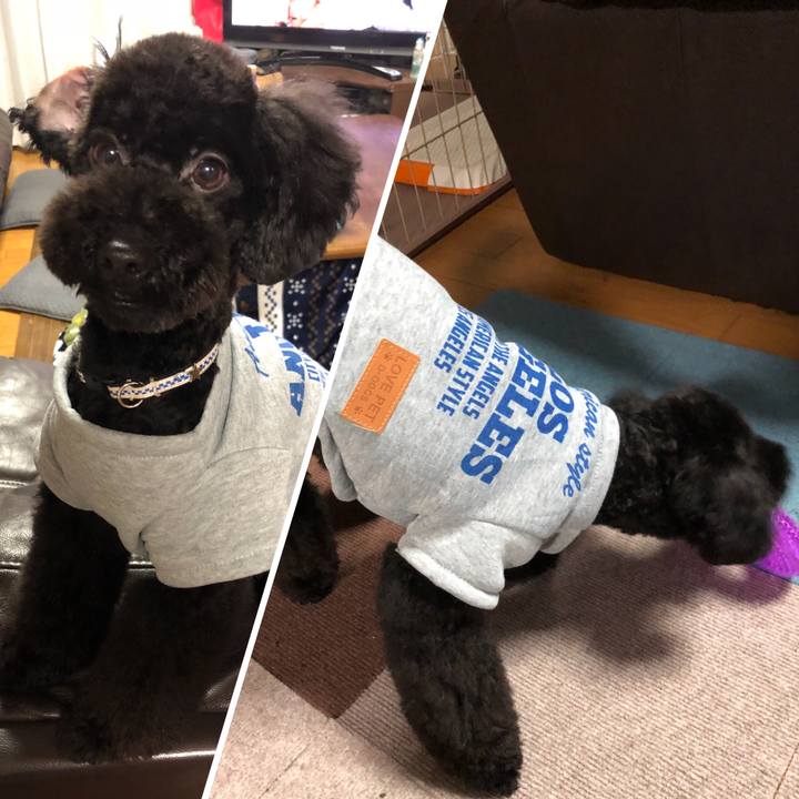 69f0d8f9 8a0d 49d1 a366 4cfd7d6fc7a9 1521028271632