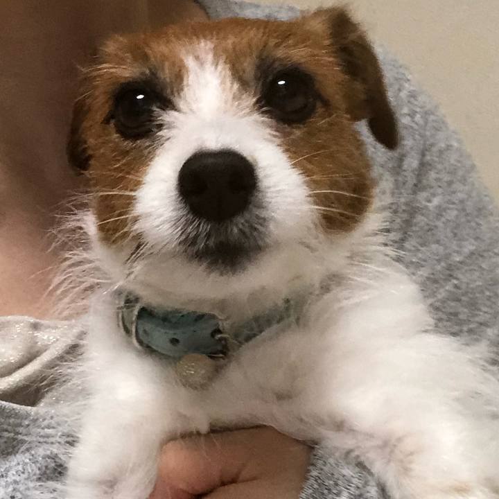 69f0e363 0a50 44fa 8369 8d040d8a5062 1553421591088