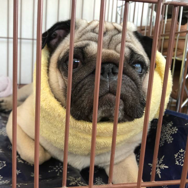 69f0efe8 9ceb 475a b4ce 657567684efb 1525145205113