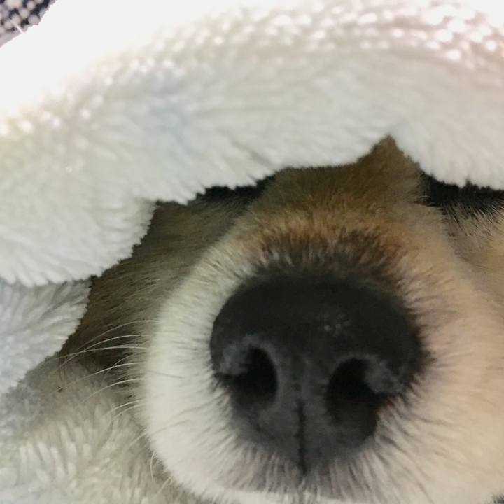 69f10d73 3e5b 4788 b626 60150043beda 1548926927514