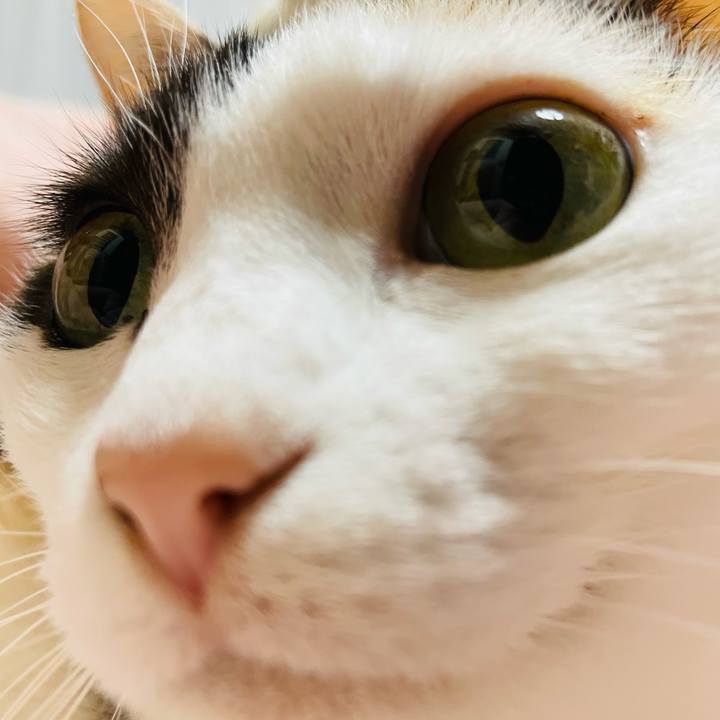 69f14e0e aa3b 40e9 aea7 484f6efdf657 1644026866350