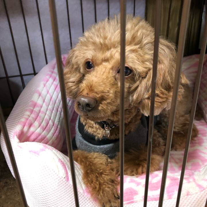 69f16327 c702 4419 82ec 2261726a3be0 1609847953346