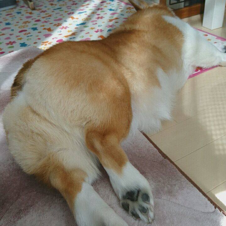 69f19203 bbd1 45f5 8fbf 0b6021efb111 1552487792083