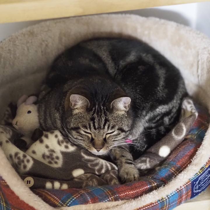 69f1ba5c ab89 4d60 922f 47b80b298cb8 1615025687476