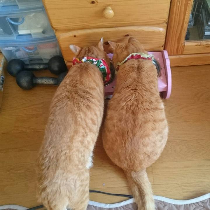 69f1e8ea 9fb8 4483 90c6 c2d053c8cfff 1514614085201