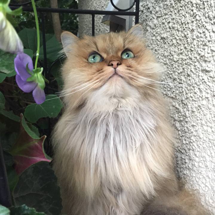 69f205a5 73dd 43c9 b363 fb42adedfa54 1560121955351