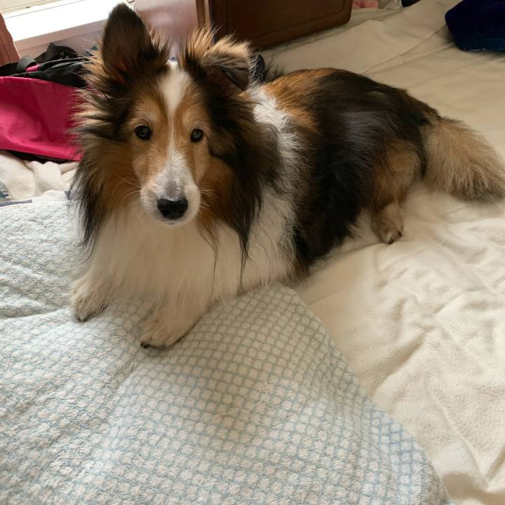 69f22d32 ebde 49dc ba68 da8289f1ea50 1586058563997