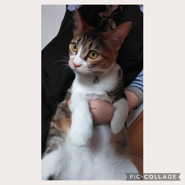 69f2330c fbb4 4342 9bbb 3fa7452b26e4 1680419662821