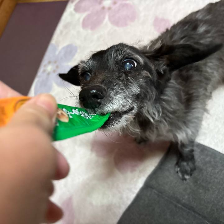 69f25fd0 3306 4ca9 9f6e c530c4715960 1763854362699