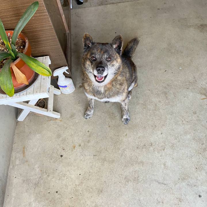 69f262b7 653b 4577 80de aad5f3f2473c 1621475836460