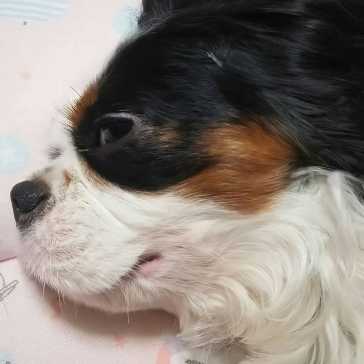 69f2677c b38a 417d b2f3 85fd5de70652 1534093182698