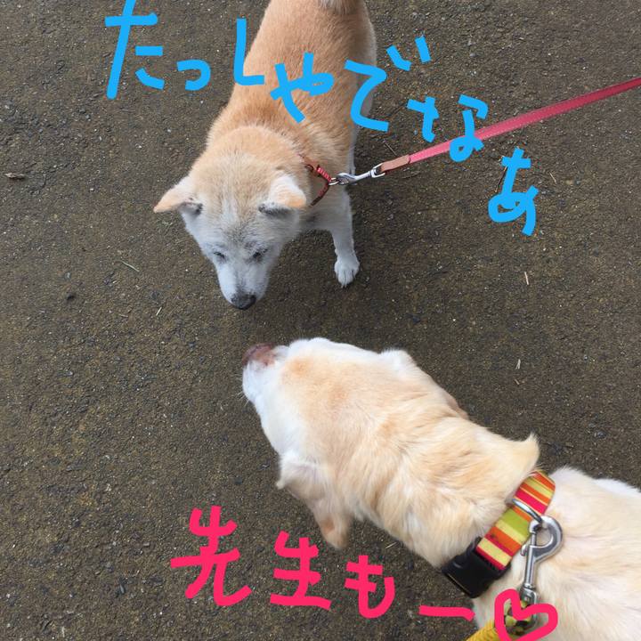 69f276b3 c271 4281 bf7b 4c856d3e97e0 1588380323615