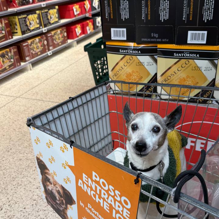 69f2a67e db8e 435f 8746 2b830380dc83 1767005721322