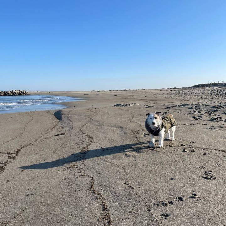 69f2b421 9528 4c5a 83bb c424871b626f 1614475614245