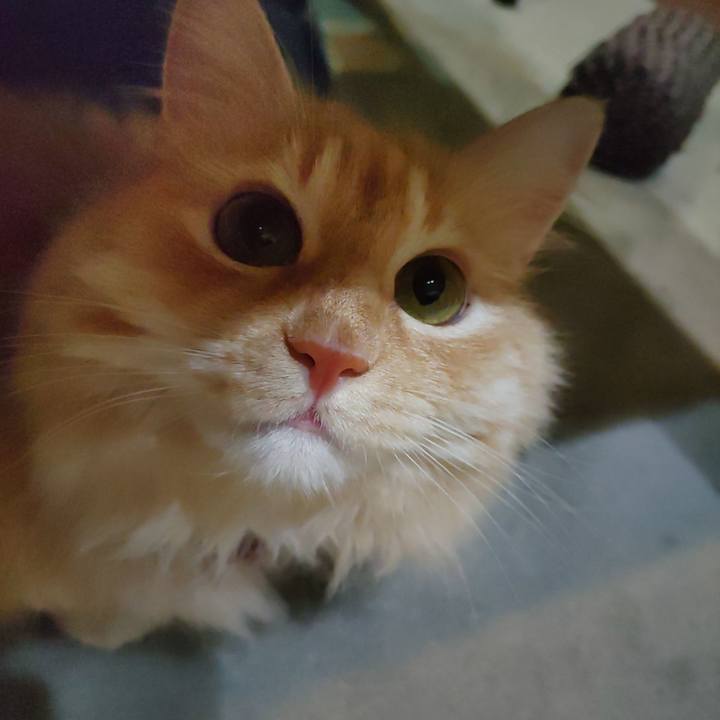 69f2dc7f bf05 4e28 a935 90274f0f3074 1688128854779