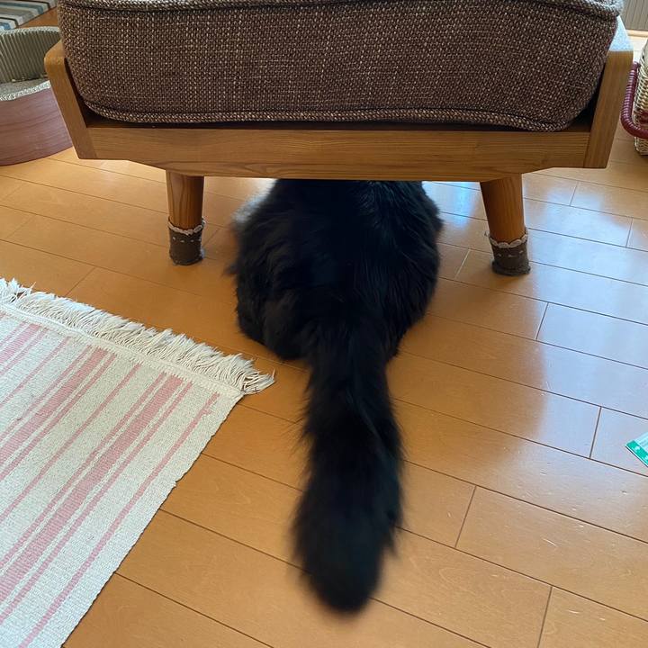 69f2ddd5 e8d4 4a6f 86ad 6d51619e4df0 1623129937178