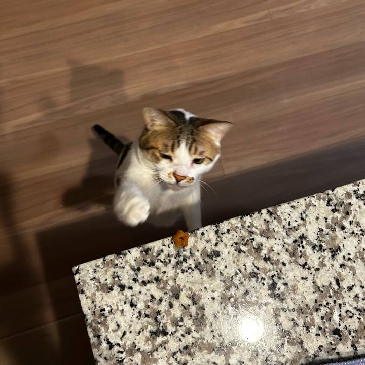 69f2e742 bb6a 494a aae6 9747dffd44e2 1757541824750