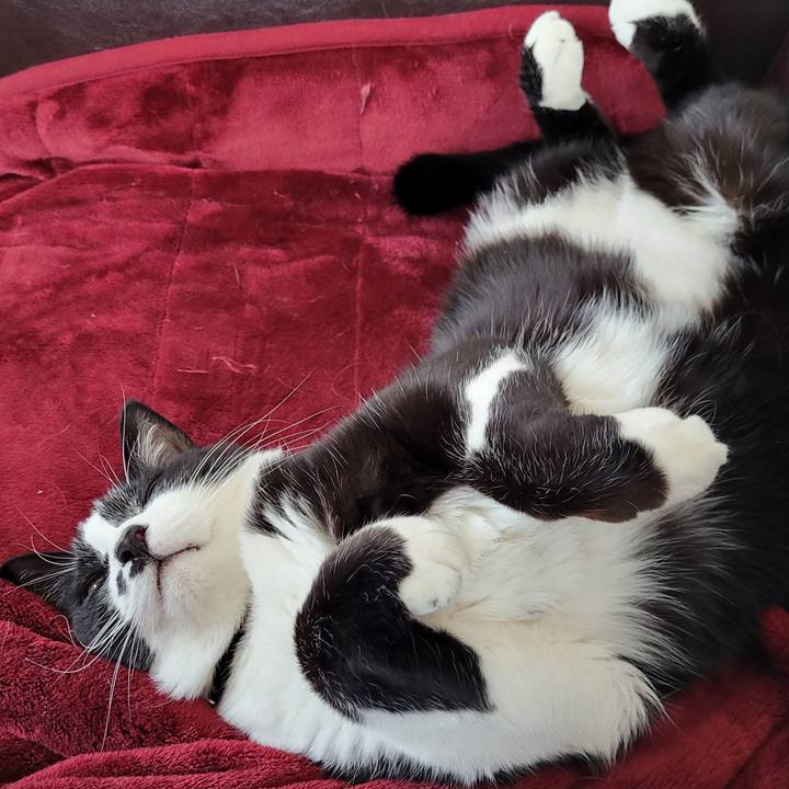 69f2ecca ebf0 42d7 a994 69be4cf64b4d 1771736185313