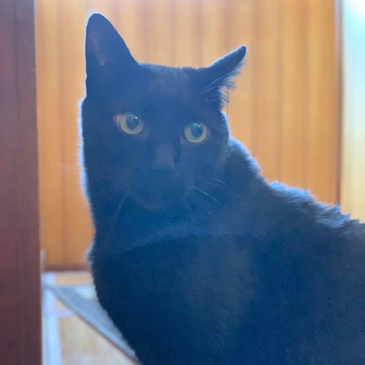 69f318e0 2d9b 40dd 93a4 a010a2d3e5a5 1585791573343