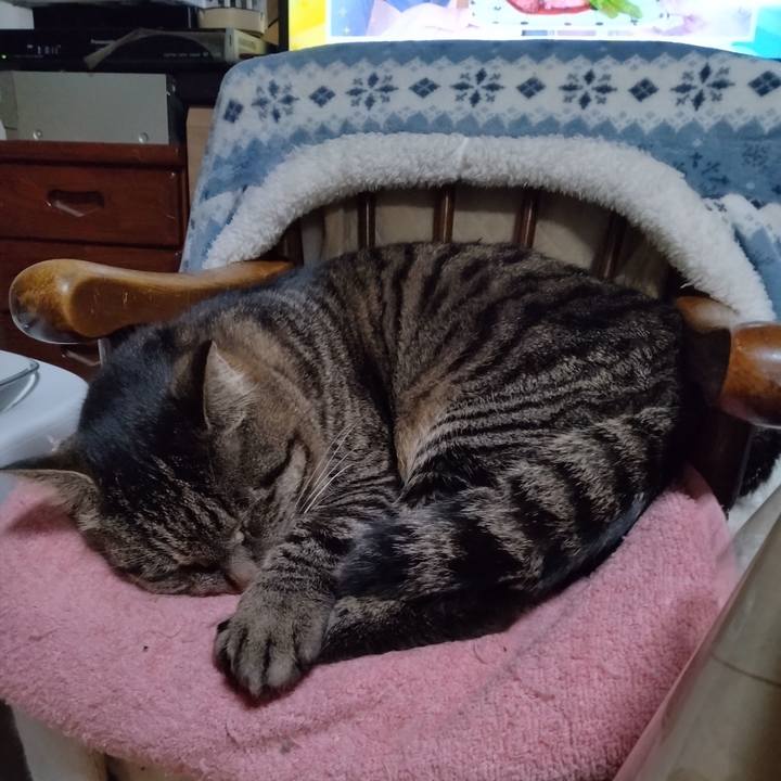 69f31b04 a8cf 420e 9cc7 b66286a07980 1675425215255