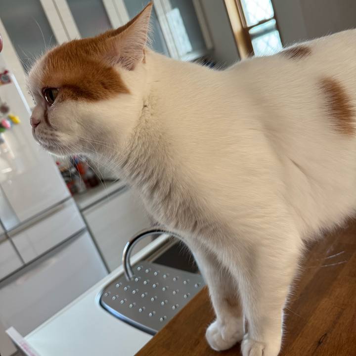 69f3a260 df73 45db ba28 626833b30515 1774746313543