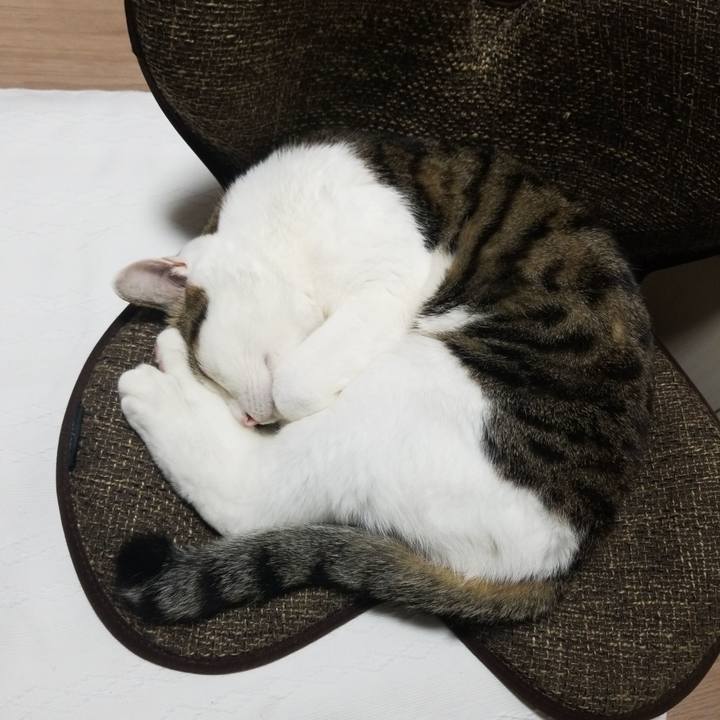 69f3b10e 87cc 4362 b1ee 9945db76b085 1587554989647