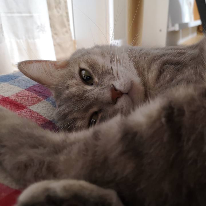 69f3b889 4b1f 4536 87b2 20a3bcf0eecf 1569063072763