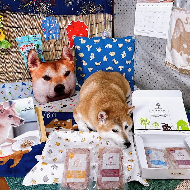 69f3de8a b246 46f2 b7cf 416af28e4514 1691907603522