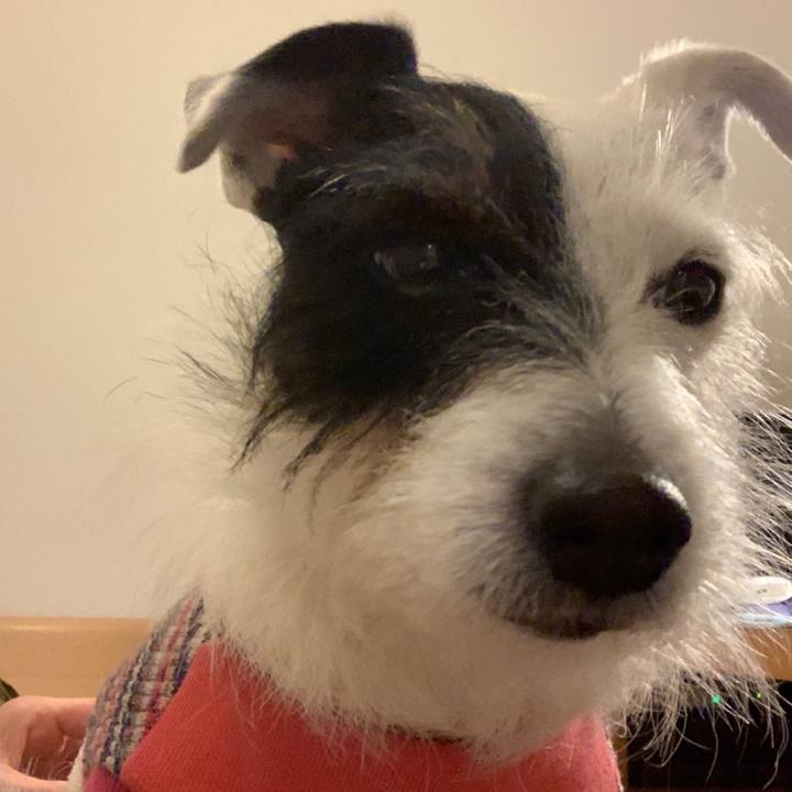 69f47a4a 872a 4dab 914d 3198afb43cd2 1550485701998