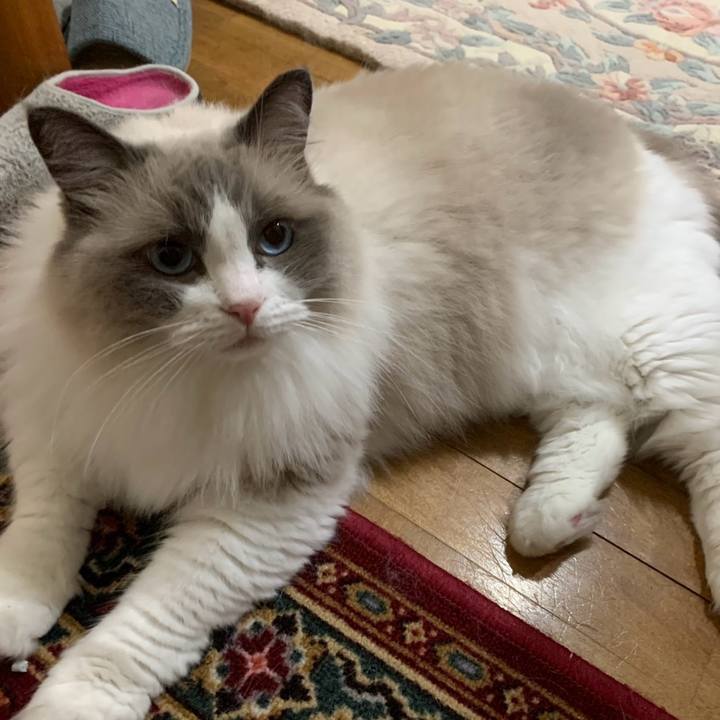 69f48a92 b6f2 41a0 b71c b399aa62db01 1757888631671