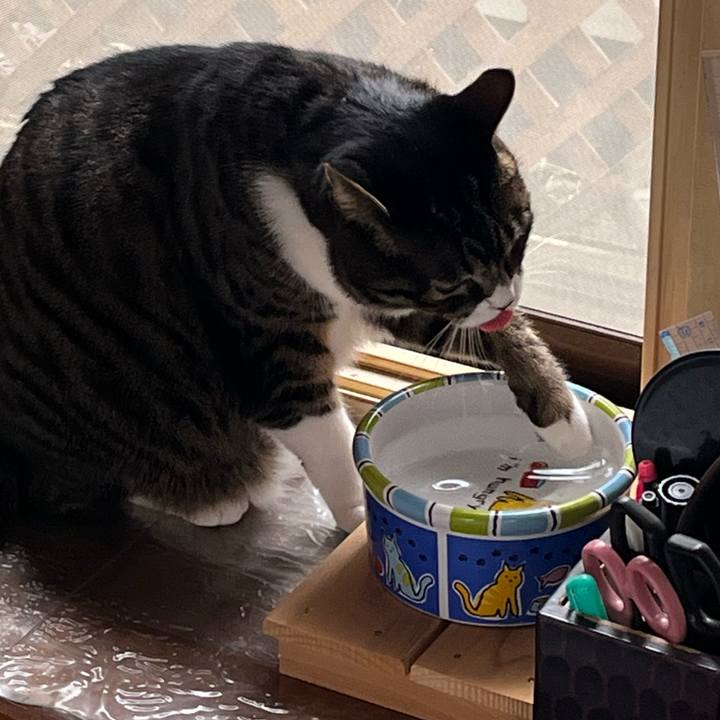 69f4c413 603d 4430 8c42 de8ee41580f1 1767570901460