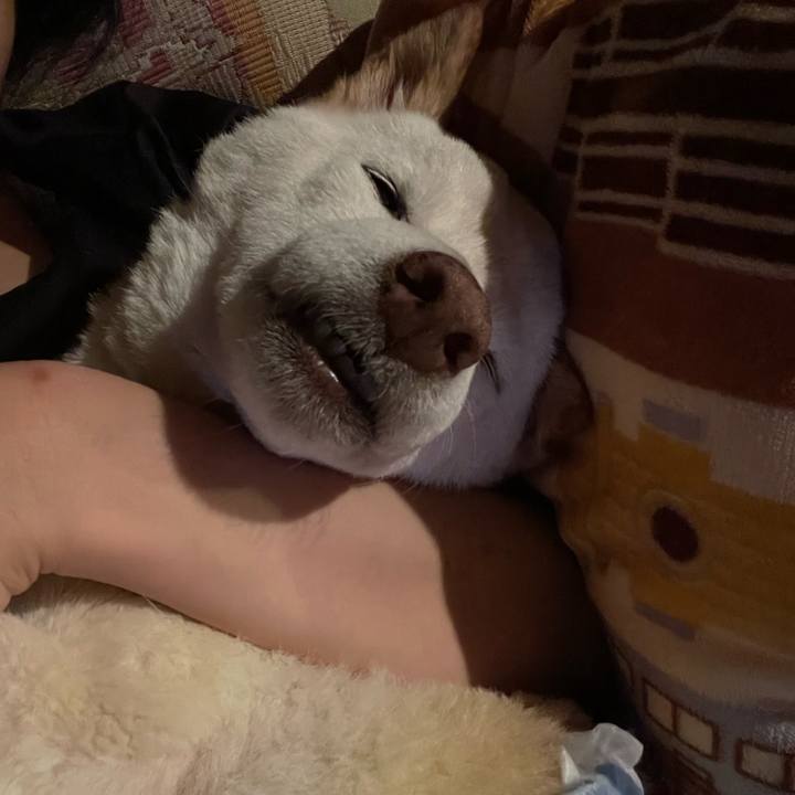 69f51281 c49a 48a1 affb d96c52e89958 1659889464321