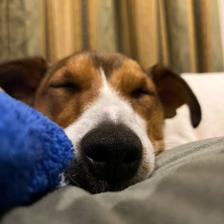 69f513a4 992f 4ae1 b5f2 9001b9ff2e5f 1714219939882