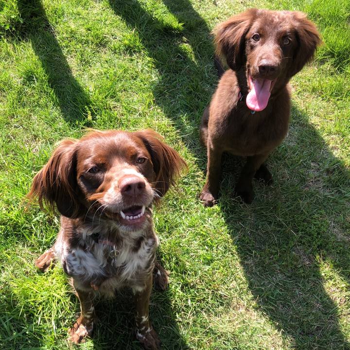 69f55b65 18f4 4207 b120 04a246fe9000 1557568308249