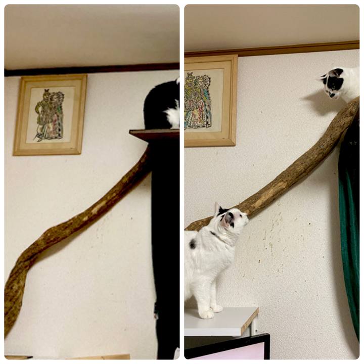 69f55d96 a91f 439e b076 203b9c5955eb 1640619770011