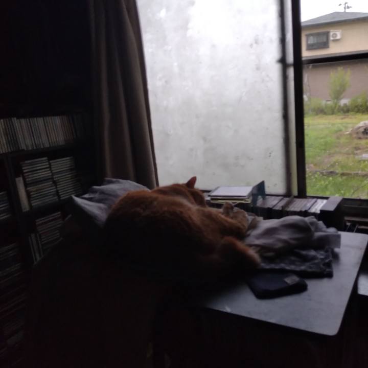 69f57ea4 83fc 4483 bba4 b65dd68fd8bd 1720260657128