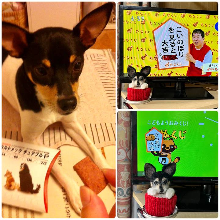 69f5a78e 943b 43f7 a59d dc9bde4f5baf 1682894612423