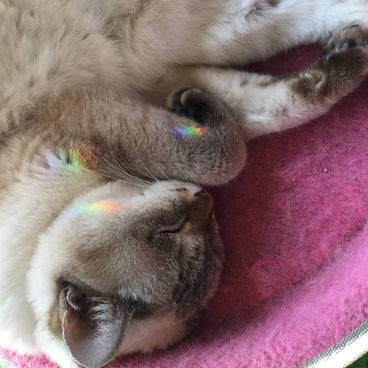 69f5c620 7319 4c79 8c44 64e7bfe2c750 1572316106573