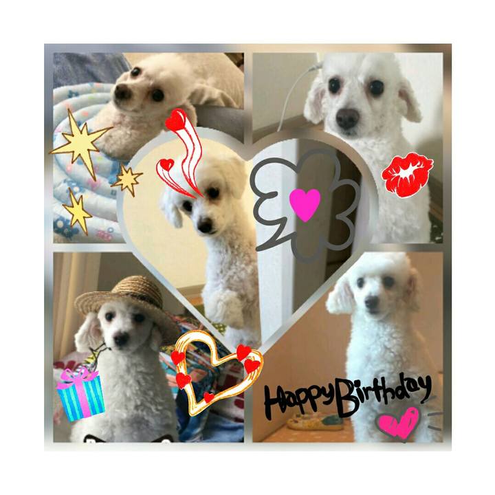 69f5d799 213c 423d aace 47bb9f37b56b 1510828170168