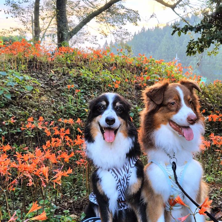 69f5eb6c 39c6 4908 98e3 55082b3620b6 1756552600636