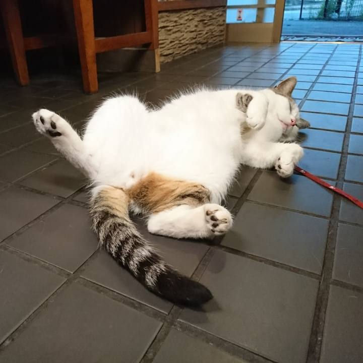 69f60913 632d 4120 82aa 9cd9545e1083 1564567638676