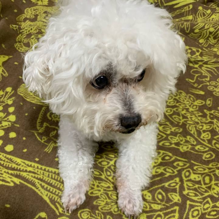 69f60fab a1c0 4ef4 a363 24bbf65f72c0 1741108023031