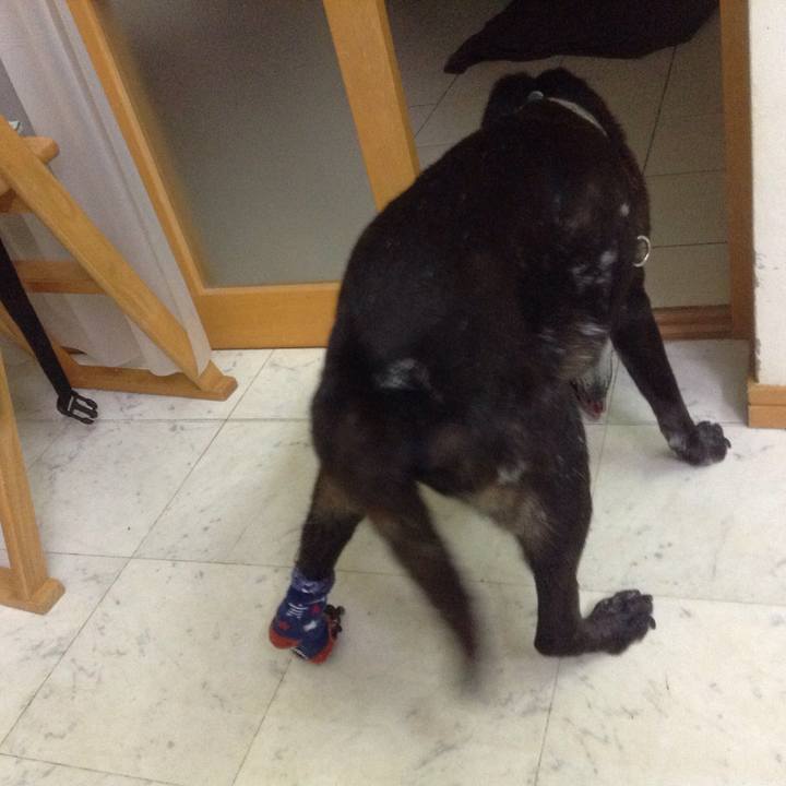 69f65038 f63c 4d55 982a ab436ff090f0 1508340578202