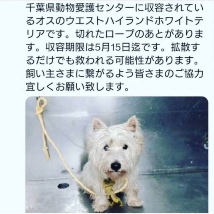 69f65404 5cf7 4db8 9100 9501670d7d92 1683954504947