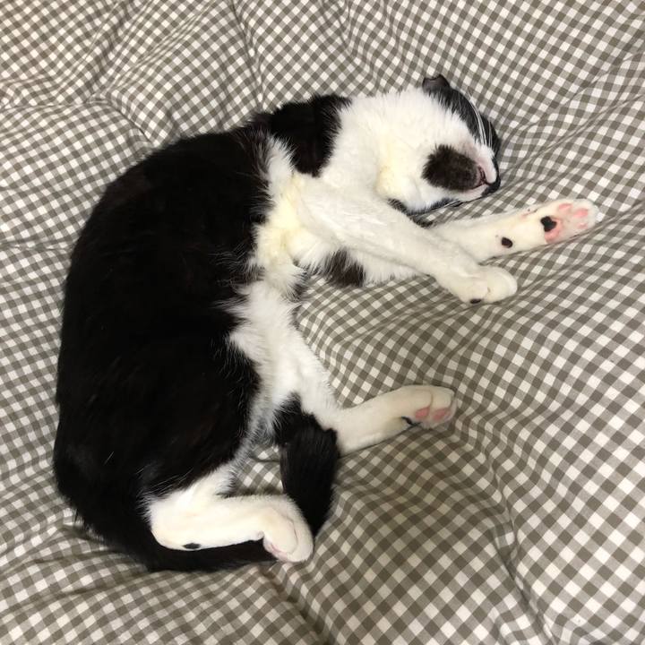 69f660e7 91f6 46b9 b9d7 dd5491a1335c 1548680165988