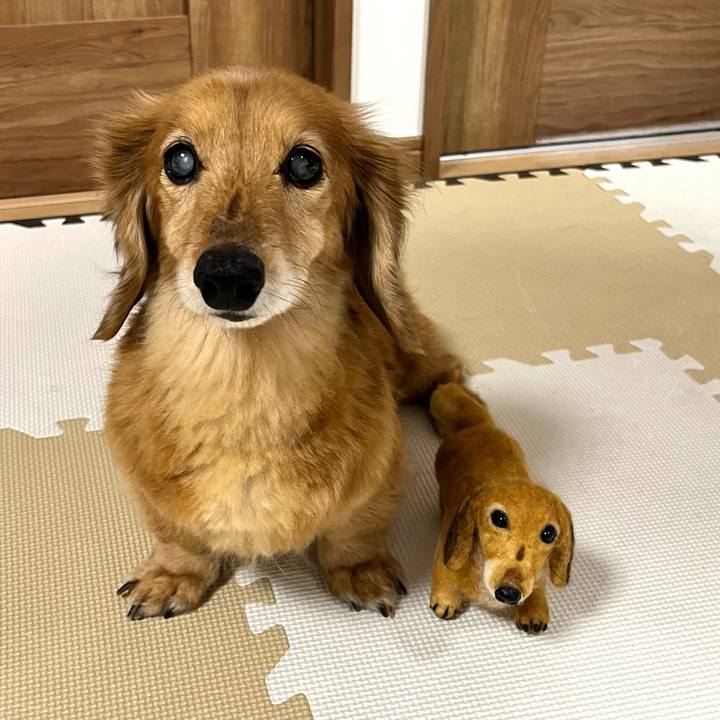 69f68e60 faf1 4e4b b91f cec534f79709 1651587272395