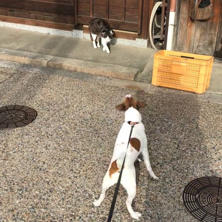 69f7424c 8167 4c50 941d 8c9d836b5677 1526803004526