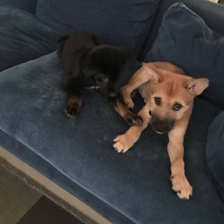 69f7618a ac20 4fed bfd7 3ec92510f27e 1569708659553