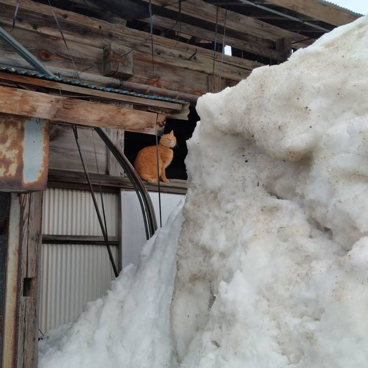 69f77657 7247 4dae aabb 07b89824d36f 1740559819329