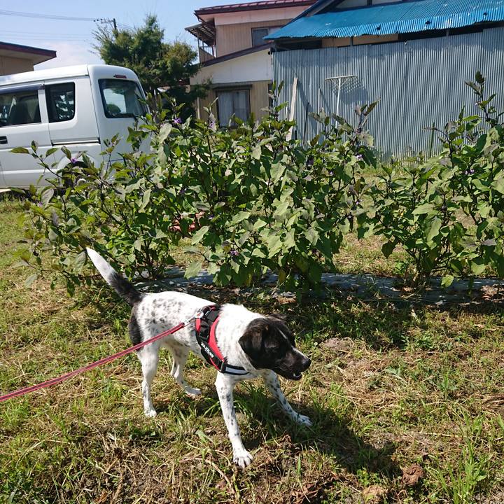 69f798af 3d8a 46fd a27a df586ae348bb 1663295769088